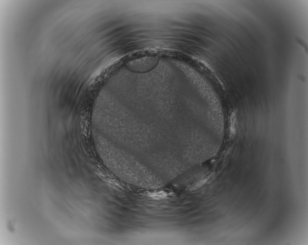 X0000099940919200806131421