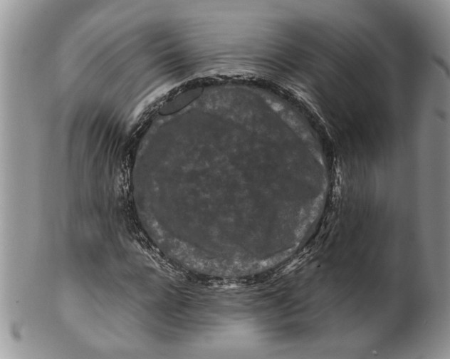 X0000099940920200806131421