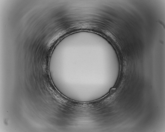 X0000099940922200806131421