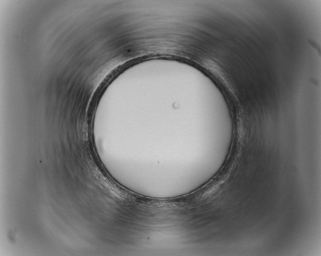 X0000099940924200806131421