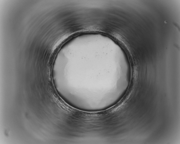 X0000099940925200806131421