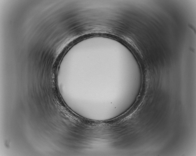 X0000099940926200806131421