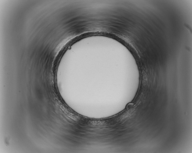 X0000099940927200806131421