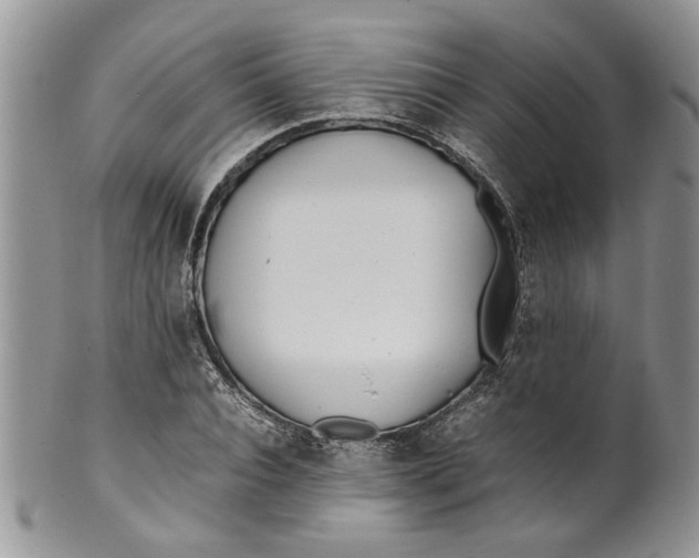 X0000099940928200806131421