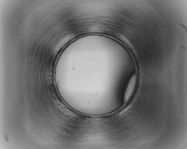 X0000099940930200806131422