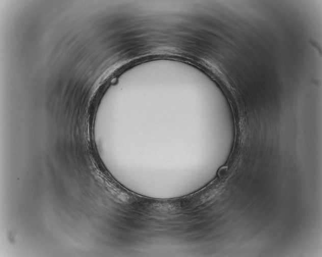 X0000099940931200806131422