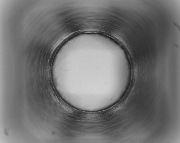 X0000099940933200806131422