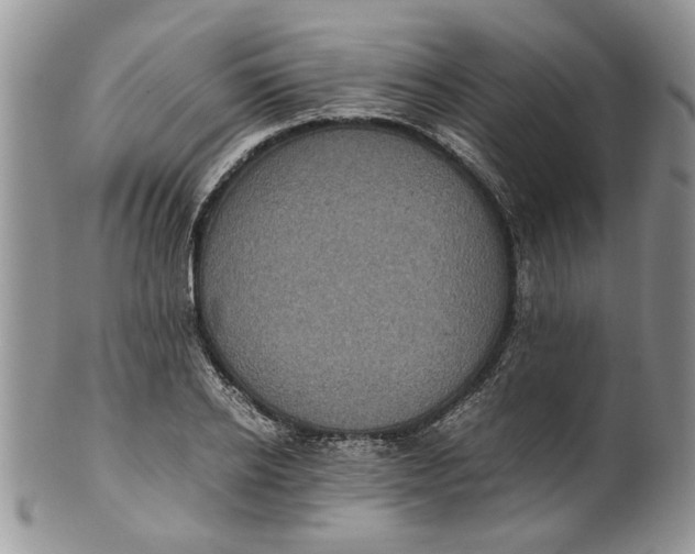 X0000099940934200806131422