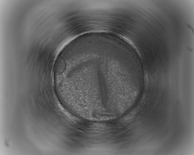 X0000099940935200806131422