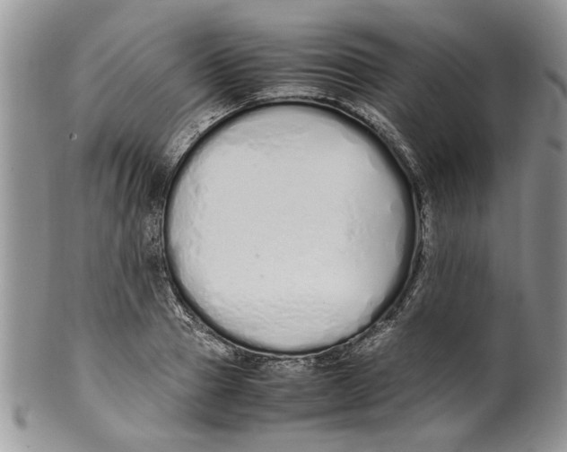 X0000099940937200806131422