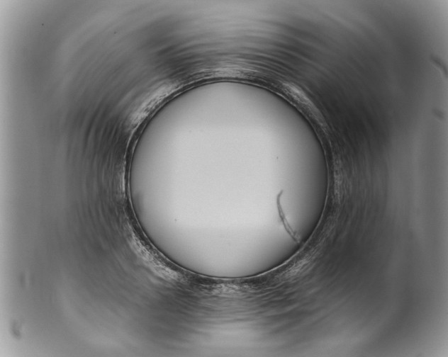 X0000099940938200806131422