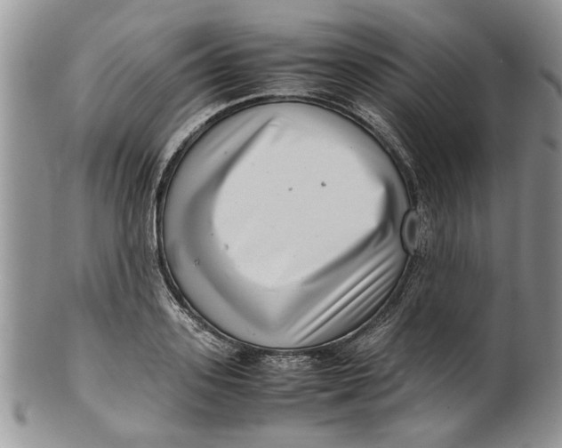 X0000099940939200806131422