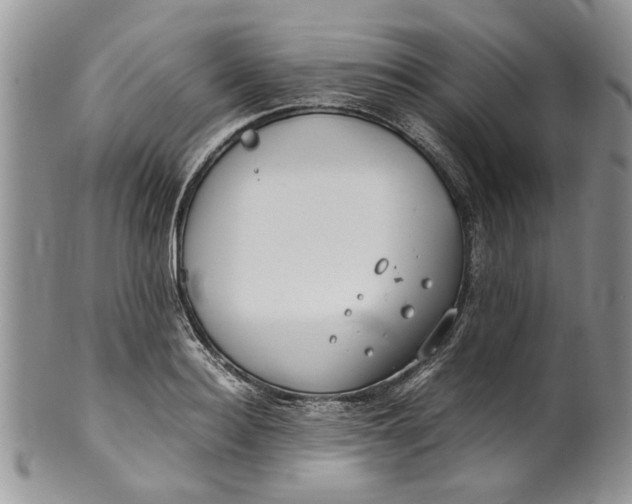 X0000099940940200806131422