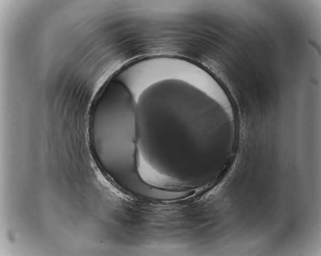 X0000099940941200806131422