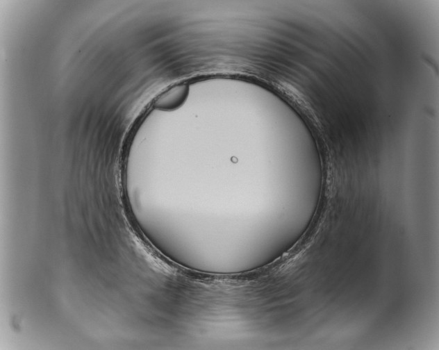 X0000099940942200806131422