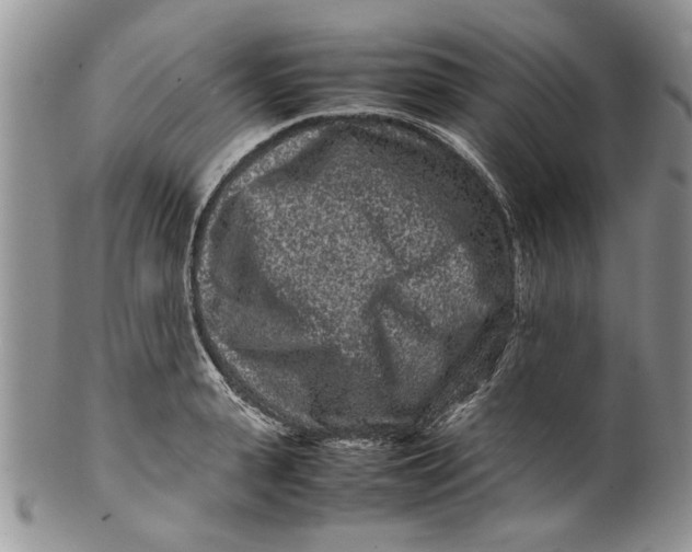 X0000099940943200806131422