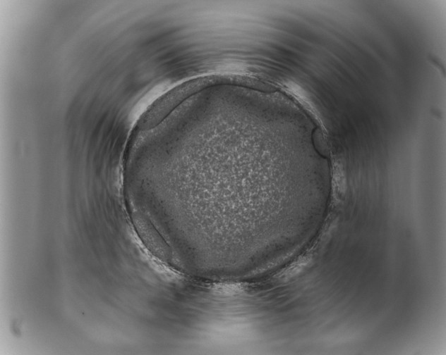 X0000099940944200806131422