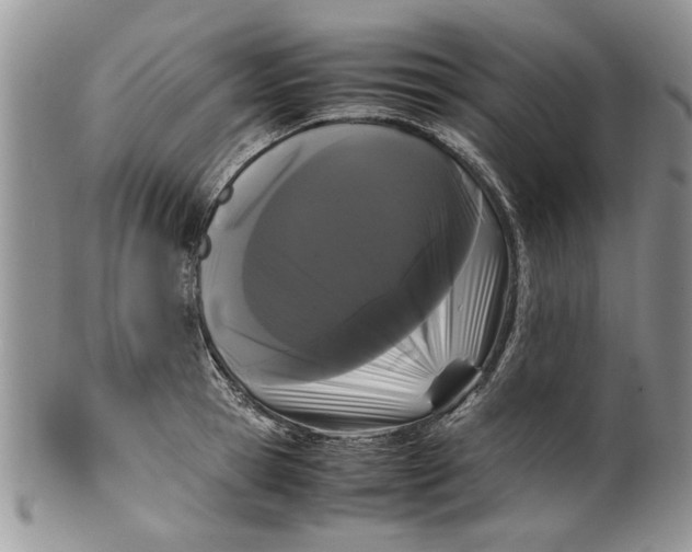 X0000099940945200806131422