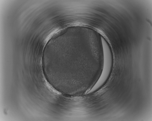 X0000099940946200806131422