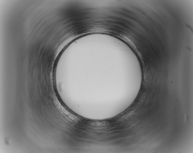 X0000099940947200806131422