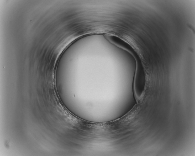 X0000099940948200806131422