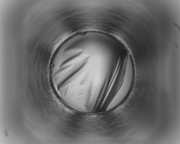 X0000099940949200806131422