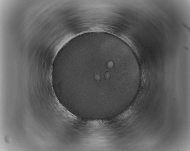 X0000099940950200806131422