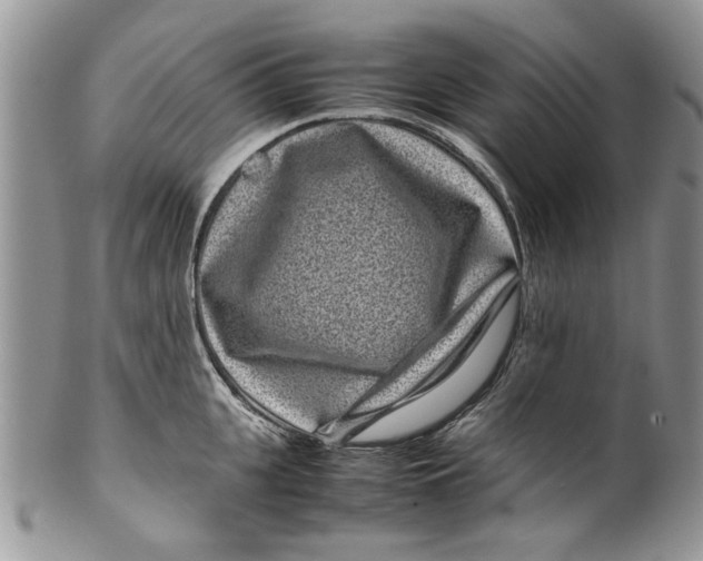 X0000099940951200806131422