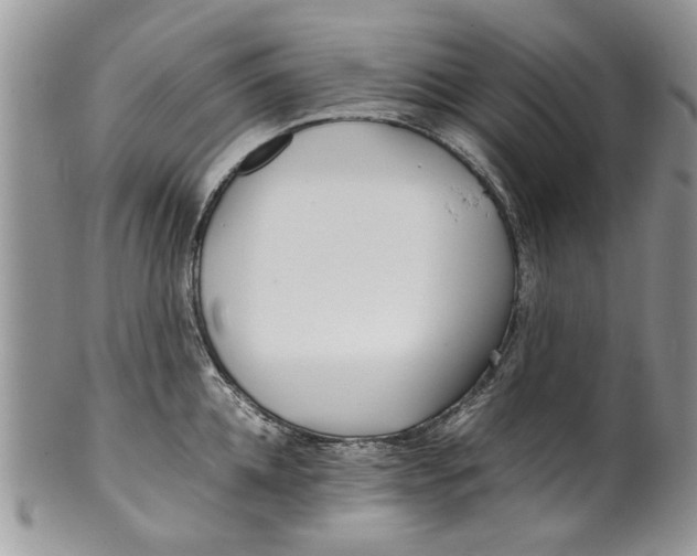 X0000099940952200806131422