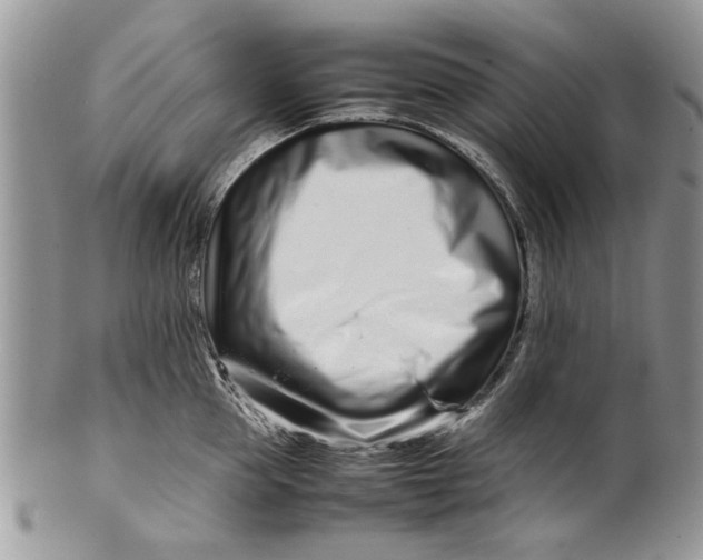 X0000099940953200806131422