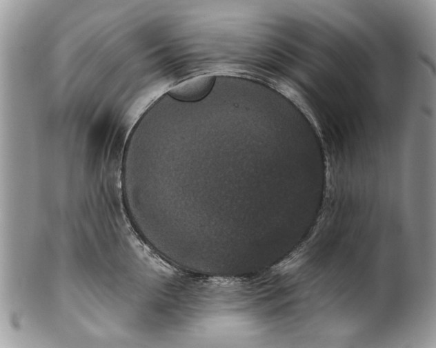 X0000099940954200806131422