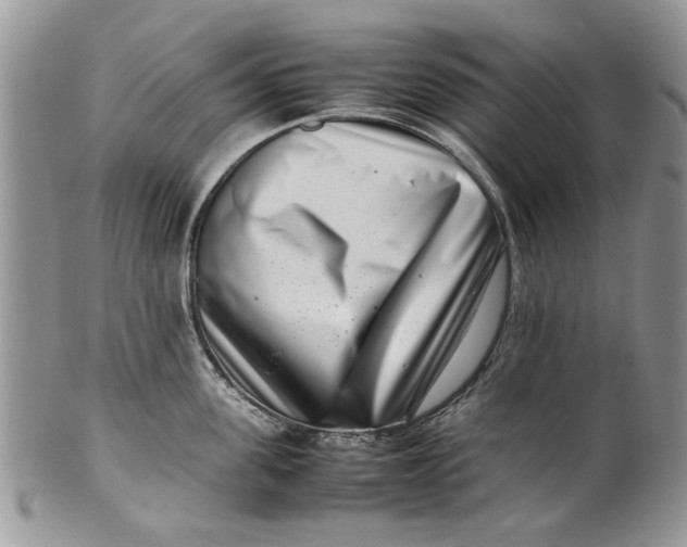 X0000099940955200806131422