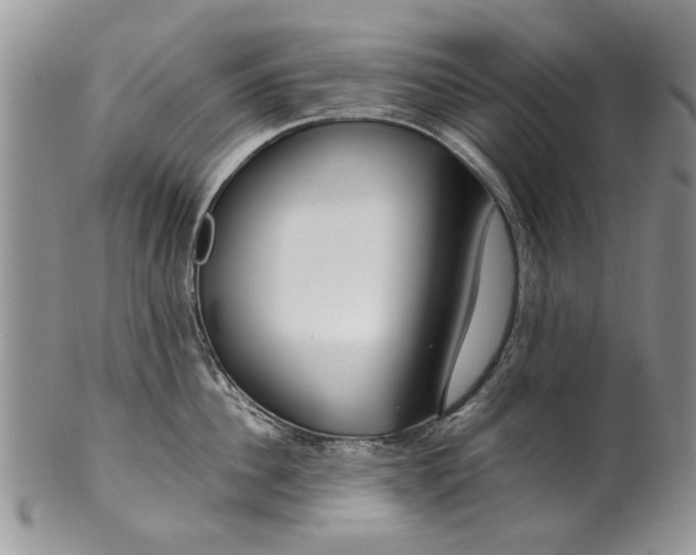 X0000099940956200806131422