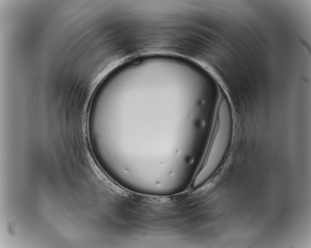 X0000099940957200806131422