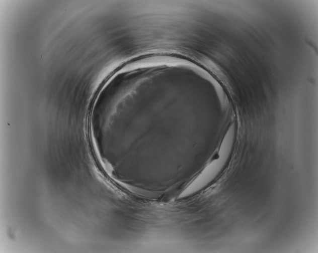 X0000099940958200806131422