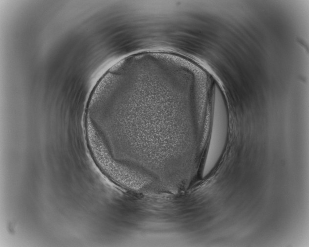 X0000099940959200806131422