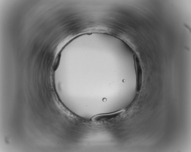 X0000099940960200806131422