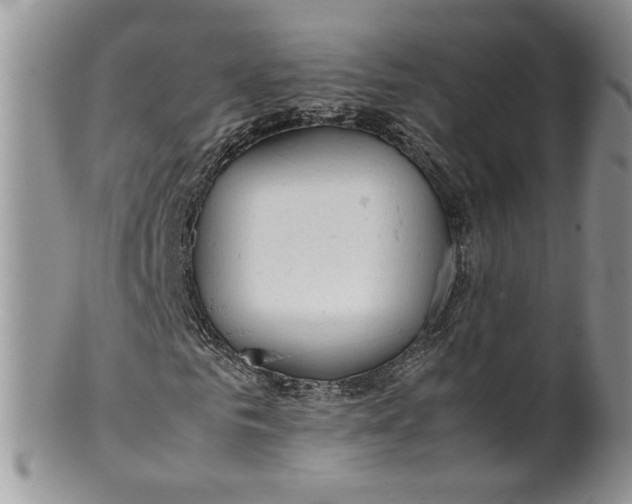 X0000099940961200806131421