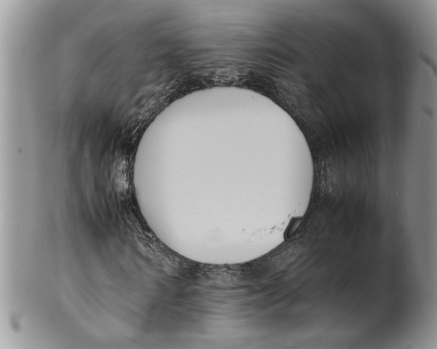 X0000099940962200806131421