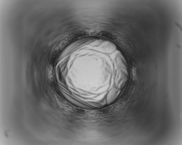 X0000099940963200806131421