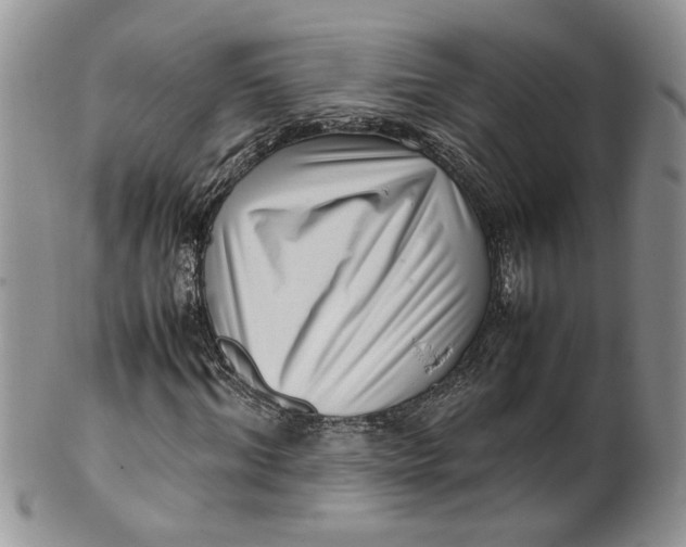 X0000099940964200806131421