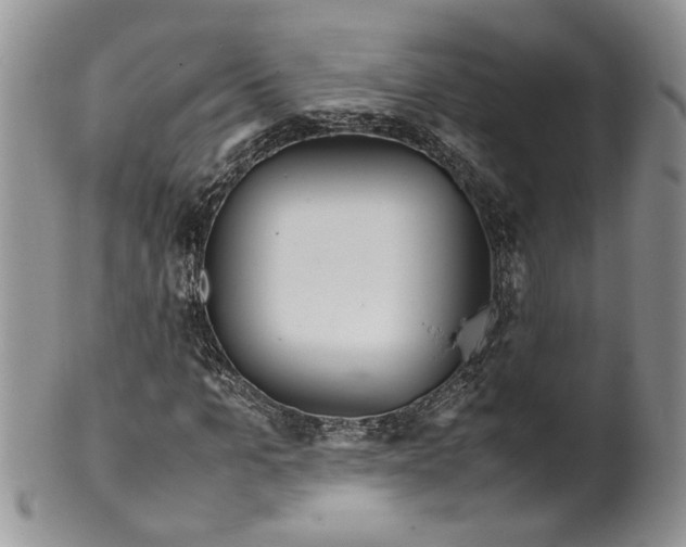 X0000099940965200806131421