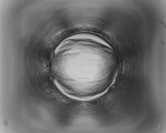 X0000099940966200806131421