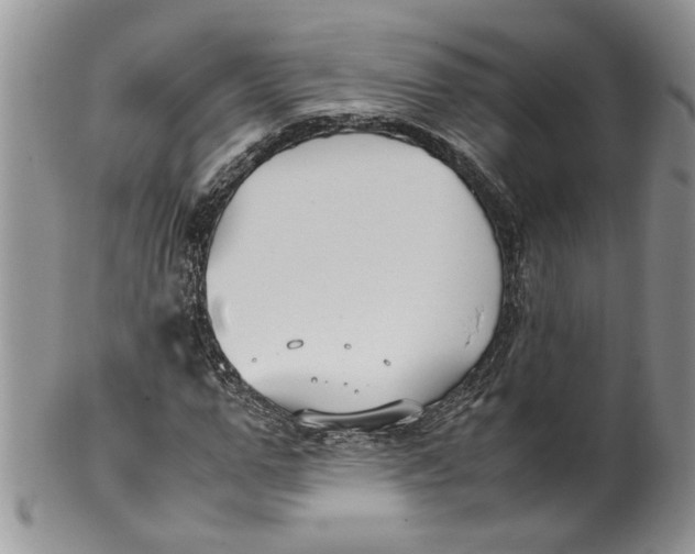 X0000099940967200806131421