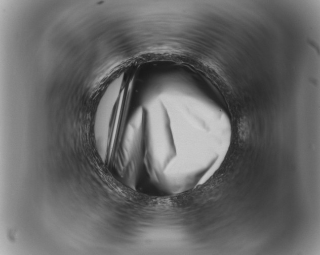 X0000099940968200806131421