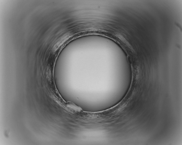 X0000099940969200806131421