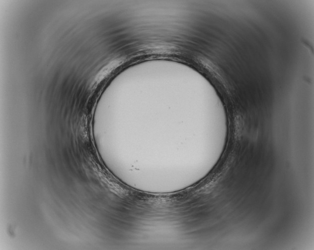 X0000099940970200806131421