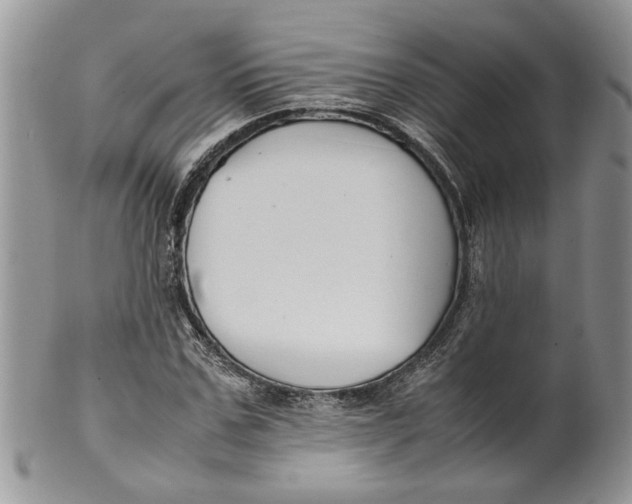 X0000099940971200806131421