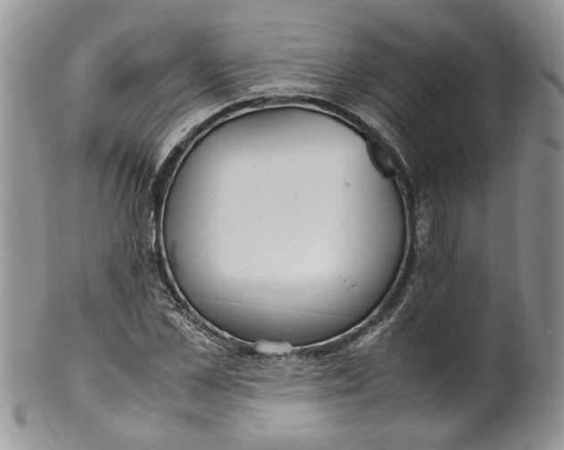 X0000099940973200806131421