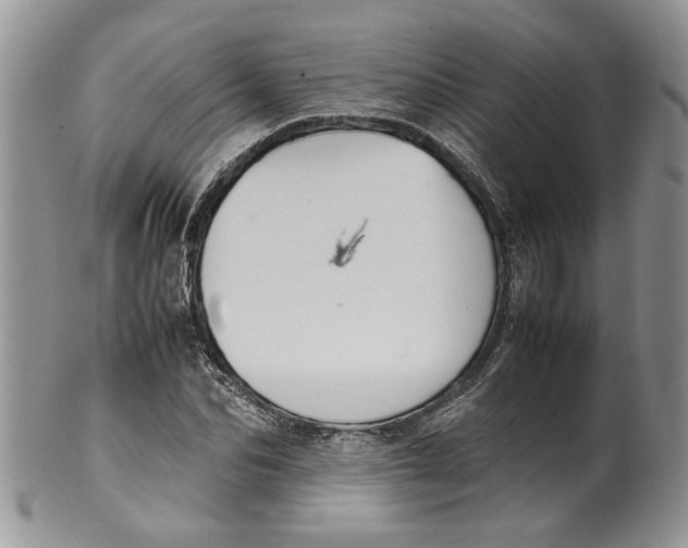 X0000099940974200806131421